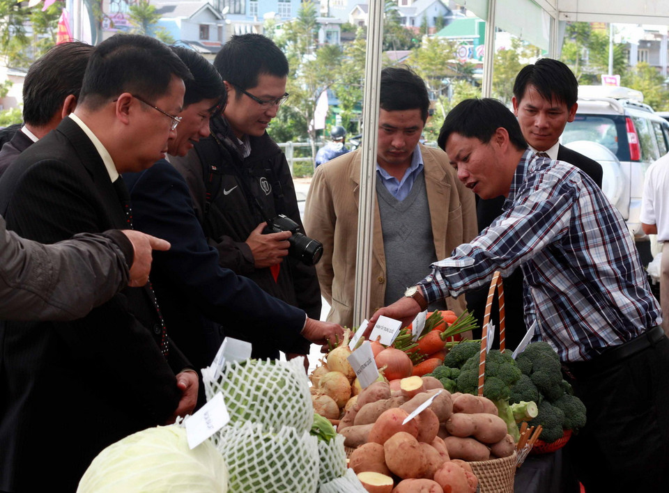 Sản phẩm rau Đà Lạt trưng bày tại phiên chợ rau, hoa. (Ảnh: Nguyễn Dũng - TTXVN) 