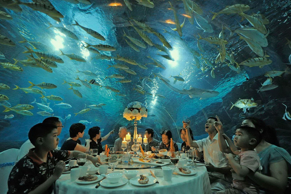 Nhà hàng dưới thủy cung ở Thiên Tân, Trung Quốc. (Nguồn: Reuters)
