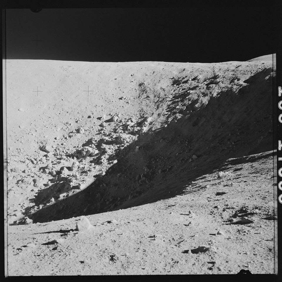 Đoàn phi hành gia đã mang theo hàng trăm hạt giống khi thực hiện nhiệm vụ, nhiều hạt trong số đó đã nảy mầm và được gọi là cây Mặt Trăng. (Nguồn: Sputniknews)