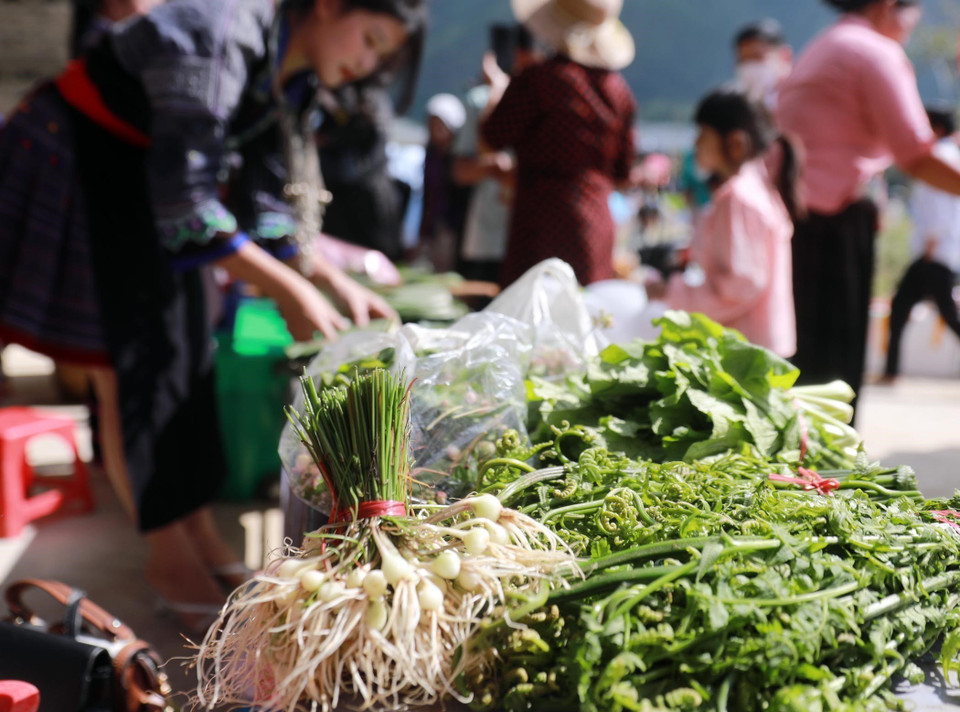 Những mặt hàng nông sản chỉ có ở Tây Bắc như rau dớn, rau tiêu rừng, rau cải Mèo. (Ảnh: Quý Trung/TTXVN)