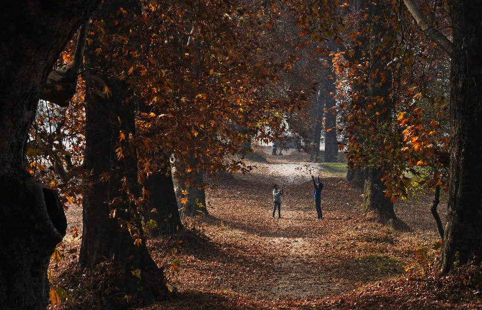 Khu cảnh cuối Thu ở Srinagar, Ấn Độ, ngày 13/11. (Nguồn: AFP)