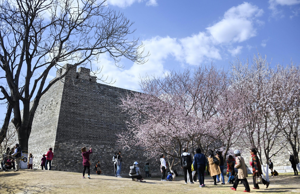 Người dân ngắm hoa đào nở rộ tại công viên ở Bắc Kinh,Trung Quốc. (Nguồn: THX/TTXVN)
