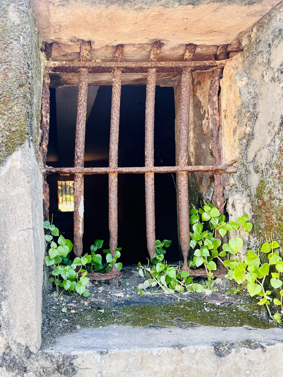 Phòng giam rêu mốc, thấm dột, xuống cấp nghiêm trọng. (Ảnh: Nguyên Linh/TTXVN)