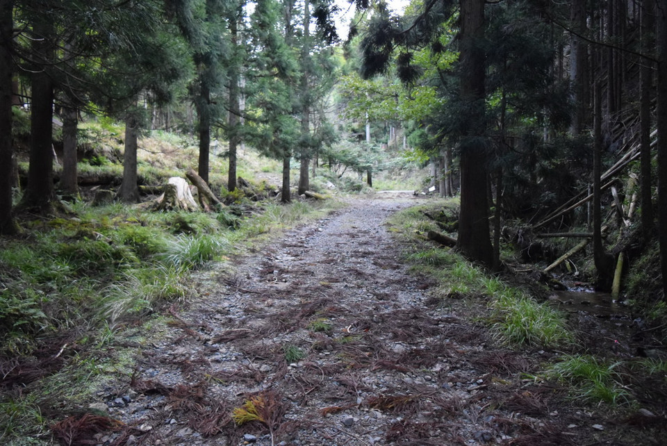 Nói đến nhà trẻ, mọi người thường hình dung đến một tòa nhà nằm ở trung tâm khu dân cư, với các bức tường bảo vệ và cánh cổng thường xuyên được khóa chặt. Thế nhưng, Marutanbo tại tỉnh Tottori là một nhà trẻ hoàn toàn khác. Đường đến trường đi xuyên qua rừng (Nguồn: Vietnam+)