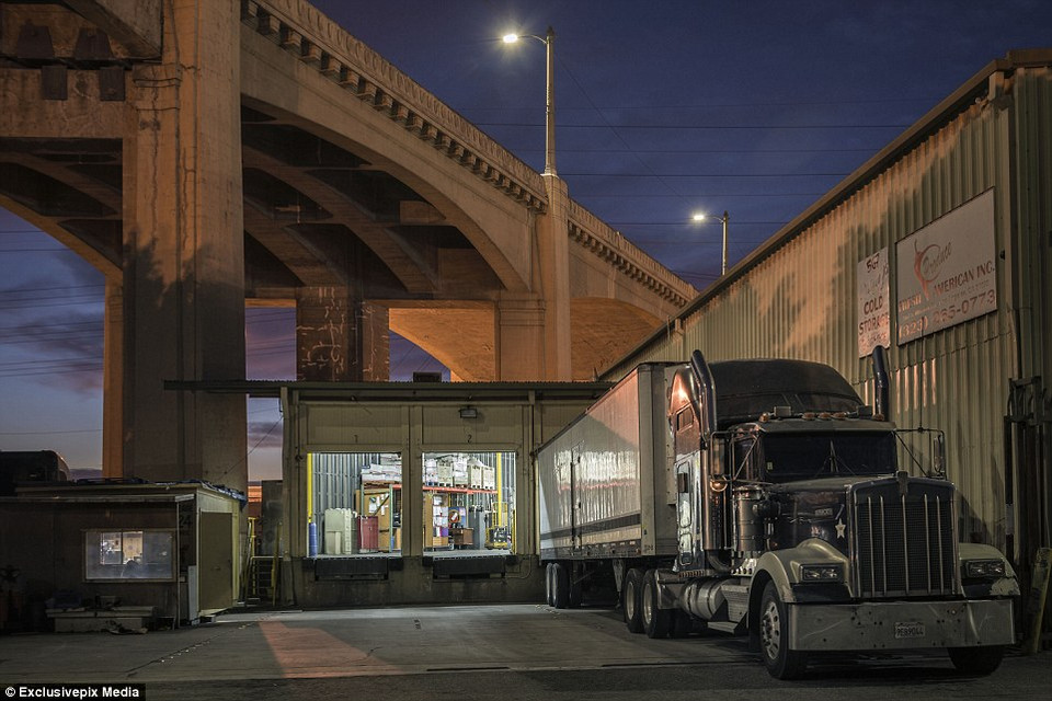 Nhiều người tự xây cho mình một ngôi nhà gỗ bên dưới chân cầu cao tốc. (Nguồn: Dailymail)