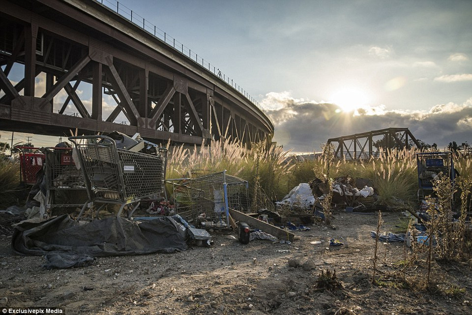 Người vô gia cư thường đẩy theo những chiếc xe kéo của siêu thị khi đi tìm thức ăn. (Nguồn: Dailymail)
