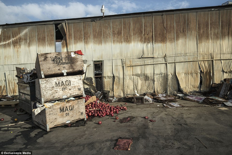 Quan chức địa phương đã ban bố tình trạng khẩn cấp với khoảng hỗ trợ trị giá 100 triệu USD để giải quyết tình trạng khủng hoảng người vô gia cư. (Nguồn: Dailymail)