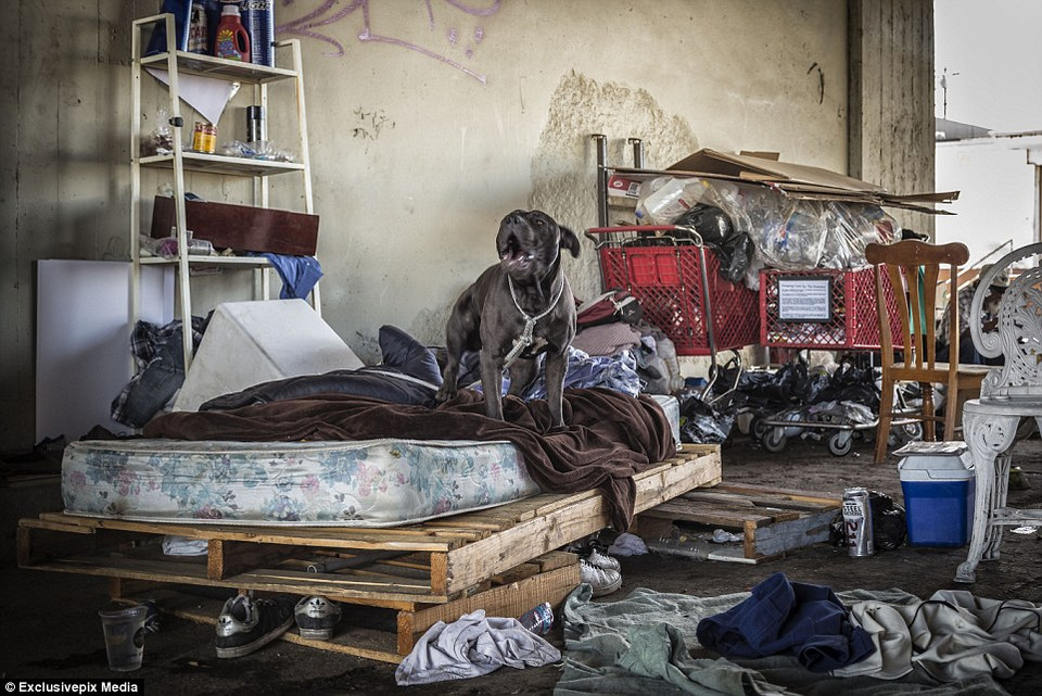 Tất cả những vật dụng cần thiết của người vô gia cư. (Nguồn: Dailymail)