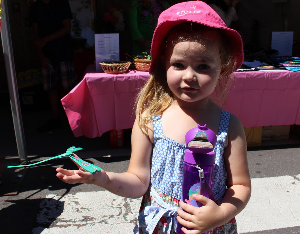 (Ảnh: Sao Băng/Vietnam+)