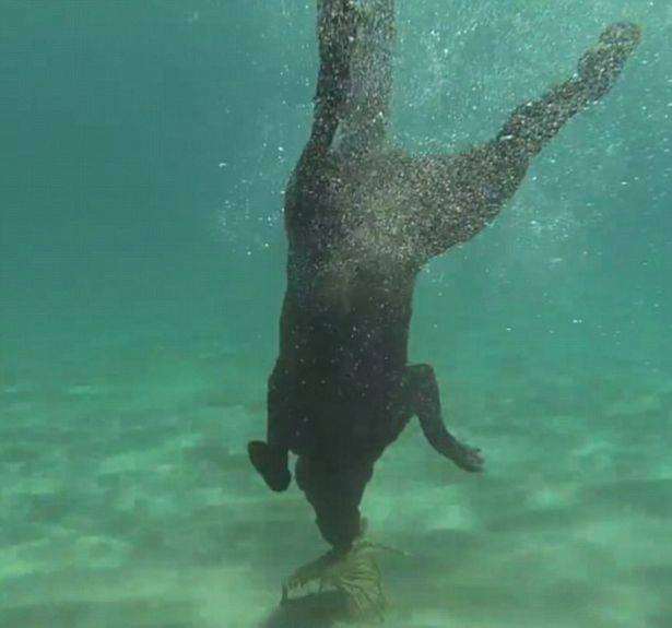 Alex đã ghi hình lại toàn bộ các buổi huấn luyện. (Nguồn: CCTVNews)