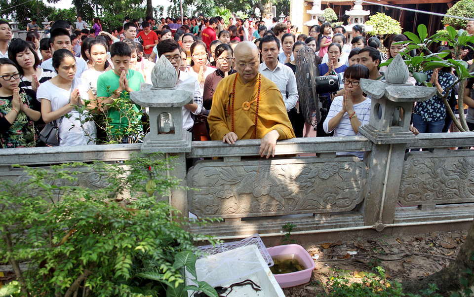 Hòa thượng Thích Thanh Nhã chủ trì thực hiện lễ phóng sinh. (Ảnh: Doãn Đức/Vietnam+)