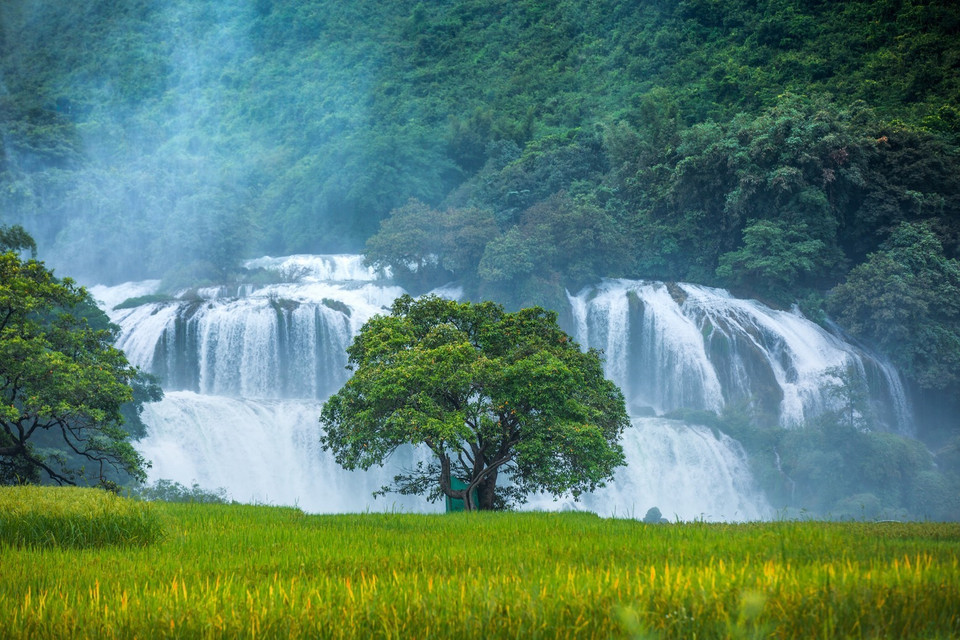 Thác Bản Giốc được xem là một trong những tặng vật vô giá mà thiên nhiên ban tặng cho Cao Bằng. Đây là thác nước cao, hùng vĩ và đẹp vào bậc nhất của Việt Nam và Đông Nam Á. (Ảnh: Trọng Đạt/TTXVN)