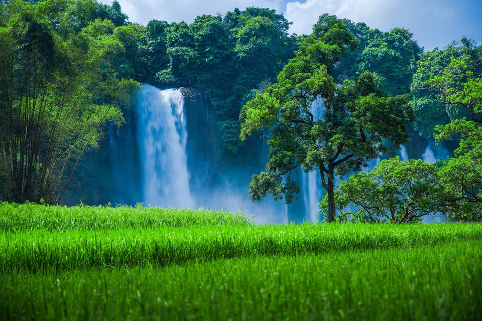 Hai bên bờ là những thảm cỏ, vạt rừng xanh ngắt. (Ảnh: Trọng Đạt/TTXVN)