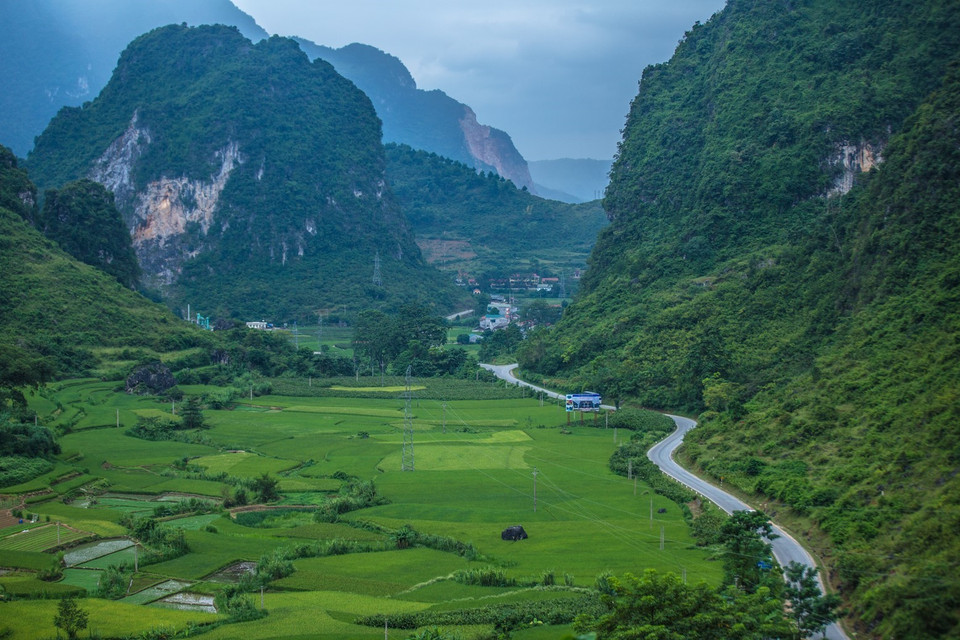 Vẻ đẹp của những thung lũng vào mùa lúa chín vàng với núi non trùng điệp bao quanh, mang đặc trưng của tỉnh Cao Bằng. (Ảnh: Trọng Đạt/TTXVN)