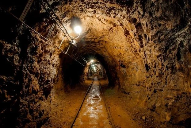 Ảnh minh họa. (Nguồn: Shutterstock)