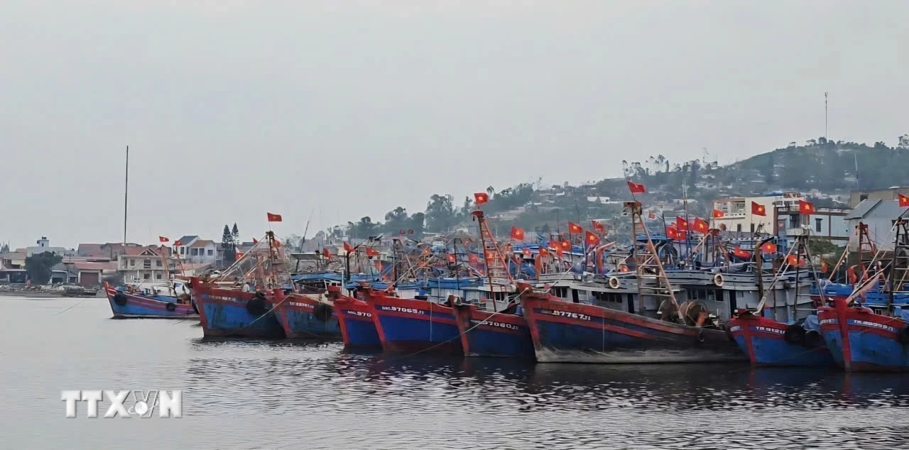 Khắc phục tình trạng 'vàng ươu' từ cảng cá đến tàu cá: Tăng cường chế tài toàn diện