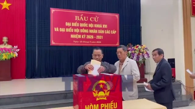 Quảng Trị: Tỷ lệ cử tri đi bầu đạt 97,01%, 14 địa phương đạt 100%