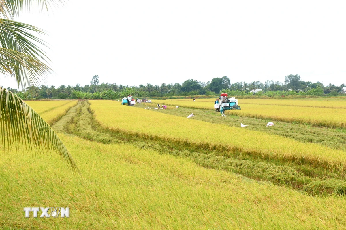 Nghị quyết mới thúc đẩy phát triển nông nghiệp, nông thôn bền vững tại Việt Nam