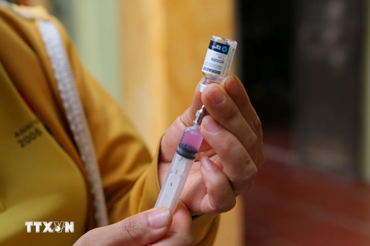 Đắk Lắk: Sau các trường hợp nghi mắc bệnh dại, đã tiến hành tiêm vaccine phòng ngừa