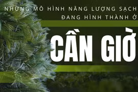 Những mô hình năng lượng sạch đang hình thành ở Cần Giờ