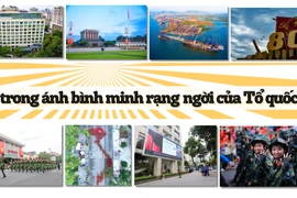 Đi trong ánh bình minh rạng ngời của Tổ quốc