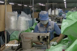 Sản xuất bao bì tại Công ty TNHH KMV Việt Nam, Khu Công nghiệp Bình Xuyên, Xã Bình Nguyên, Tỉnh Phú Thọ. (Ảnh: Nguyễn Thảo/Vietnam+)