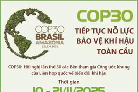 COP30 tiếp tục nỗ lực bảo vệ khí hậu toàn cầu