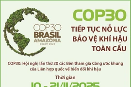 COP30 tiếp tục nỗ lực bảo vệ khí hậu toàn cầu