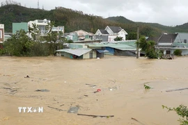 Nhiều nhà dân bị ngập lụt từ 1,5-3m. (Ảnh: Sỹ Thắng/TTXVN)