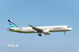 Máy bay của hãng hàng không Air Busan. (Ảnh: Yonhap/TTXVN)