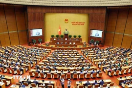 Toàn cảnh Phiên khai mạc trọng thể Kỳ họp thứ 10, Quốc hội khóa XV. (Ảnh: Phạm Kiên/TTXVN)