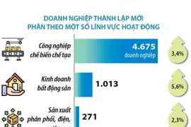 Số doanh nghiệp thành lập mới và quay trở lại hoạt động tăng 18,6%