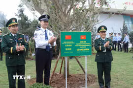 Đại biểu sỹ quan trẻ Bộ đội Biên phòng tỉnh Lạng Sơn (Việt Nam) và cán bộ trẻ Tổng trạm kiểm tra Biên phòng xuất nhập cảnh Quảng Tây (Trung Quốc) cùng trồng cây lưu niệm tại cửa khẩu quốc tế Hữu Nghị. (Ảnh: Quang Duy/TTXVN)
