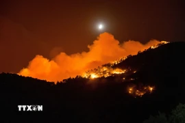 Hình ảnh cháy rừng ở Thổ Nhĩ Kỳ. (Ảnh: THX/TTXVN)