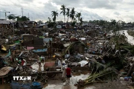Cảnh tàn phá do bão Kalmaegi ở Talisay, tỉnh Cebu, Philippines, ngày 5/11/2025. (Ảnh: Reuters/TTXVN)