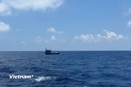 Ảnh minh họa. (Ảnh: Vietnam+)