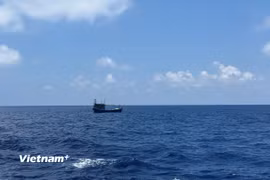 Ảnh minh họa. (Ảnh: Vietnam+)