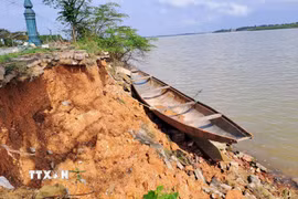 Nhiều đoạn trên bờ sông bị sạt lở vào sâu tạo hàm ếch hoặc phương thẳng đứng khoảng 3m. (Ảnh: Tường Vi/TTXVN)