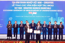 Tổng Bí thư Tô Lâm chứng kiến trao văn kiện hợp tác giữa doanh nghiệp hai nước. (Ảnh: Thống Nhất/TTXVN)