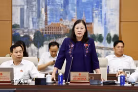 Chủ nhiệm Ủy ban Dân nguyện và Giám sát của Quốc hội Lê Thị Nga phát biểu. (Ảnh: Doãn Tấn/TTXVN)
