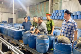 Lực lượng chức năng kiểm tra cơ sở sản xuất giá đỗ bằng hóa chất độc. (Ảnh TTXVN phát)