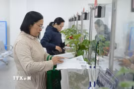 Khách hàng làm thủ tục tại Bảo hiểm xã hội thành phố Đà Nẵng. (Ảnh: Văn Dũng/TTXVN)