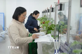 Khách hàng làm thủ tục tại Bảo hiểm xã hội thành phố Đà Nẵng. (Ảnh: Văn Dũng/TTXVN)