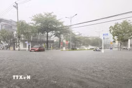 (Ảnh minh họa: Xuân Tư/TTXVN)