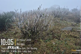 Tại Mẫu Sơn nhiệt độ thấp nhất là 2-4 độ. (Ảnh: TTXVN phát)