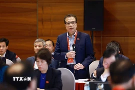 Đại sứ Đặng Minh Khôi, đại biểu đoàn Đảng bộ Bộ Ngoại giao. (Ảnh: TTXVN)