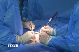 Ảnh minh họa. (Ảnh: TTXVN phát)