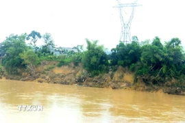 Sạt lở dọc bờ sông Chu tại xã Lam Sơn, tỉnh Thanh Hóa. (Ảnh: Nguyễn Nam/TTXVN)
