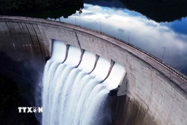 (Ảnh minh họa: Quang Quyết/TTXVN)