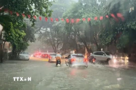 Ảnh minh họa. (Ảnh: Hoàng Hải/TTXVN)